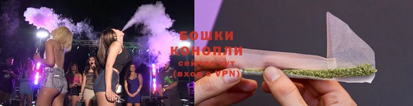 молекула духа Алзамай