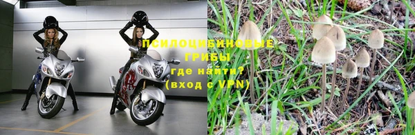 ALPHA-PVP Алексин