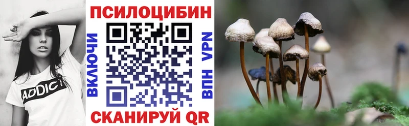 Псилоцибиновые грибы ЛСД  цены   Чаплыгин 